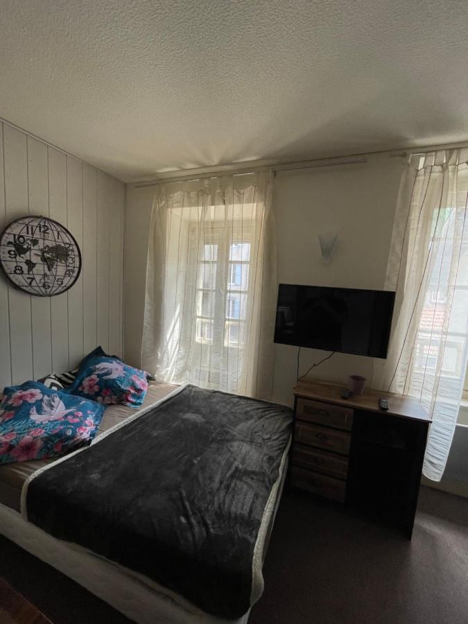 Superbe Appartement Au Bord De La Riviere Ax-les-Thermes Eksteriør billede